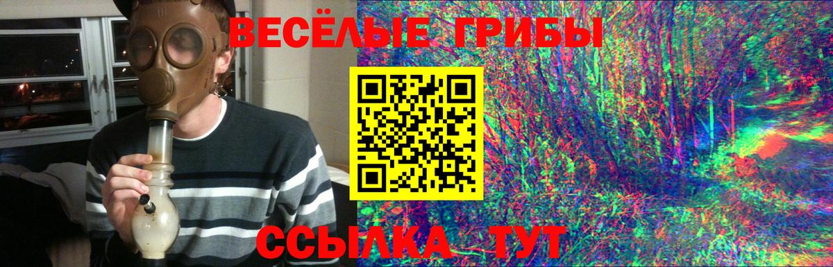 Галлюциногенные грибы Psilocybe  дарнет шоп  Саяногорск  Вход с VPN 